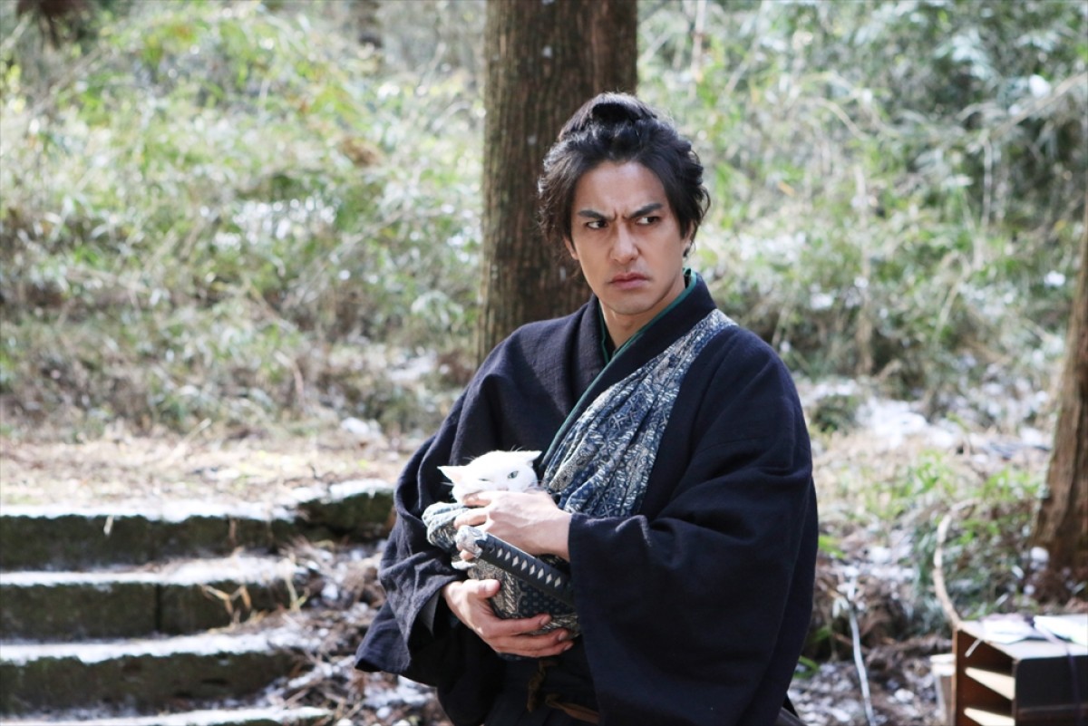 『猫侍 SEASON 2』フォト特集！ ネコ好き悶絶必至の写真満載