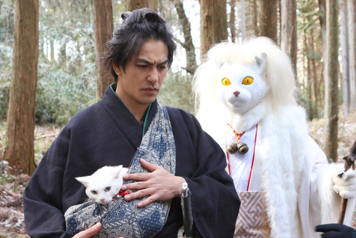 『猫侍 SEASON 2』フォト特集！ ネコ好き悶絶必至の写真満載