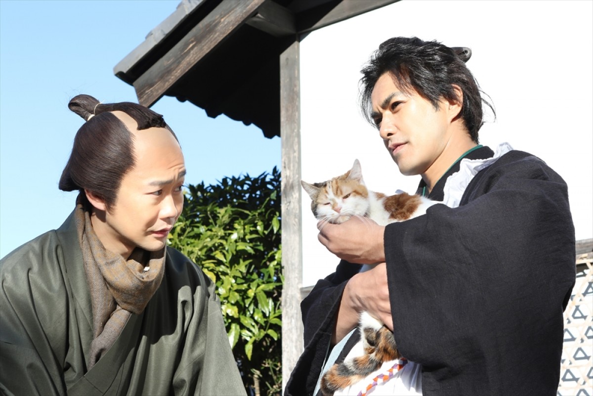 『猫侍 SEASON 2』フォト特集！ ネコ好き悶絶必至の写真満載