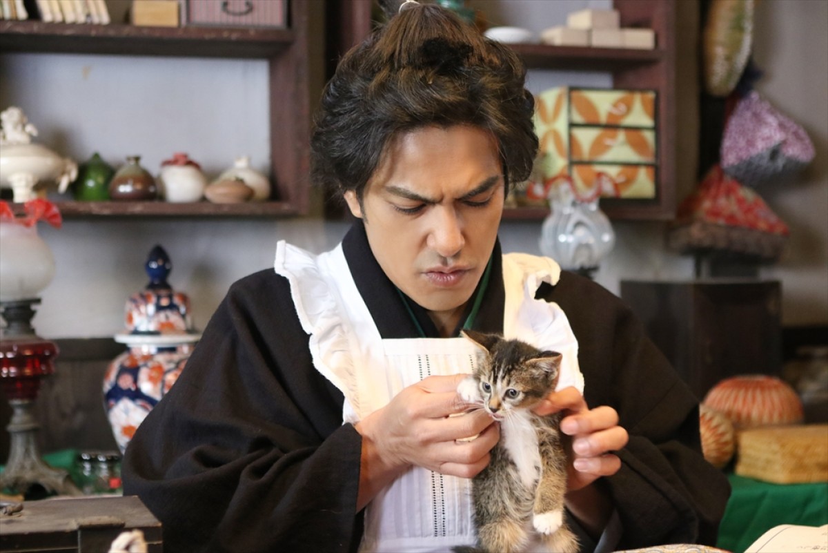『猫侍 SEASON 2』フォト特集！ ネコ好き悶絶必至の写真満載