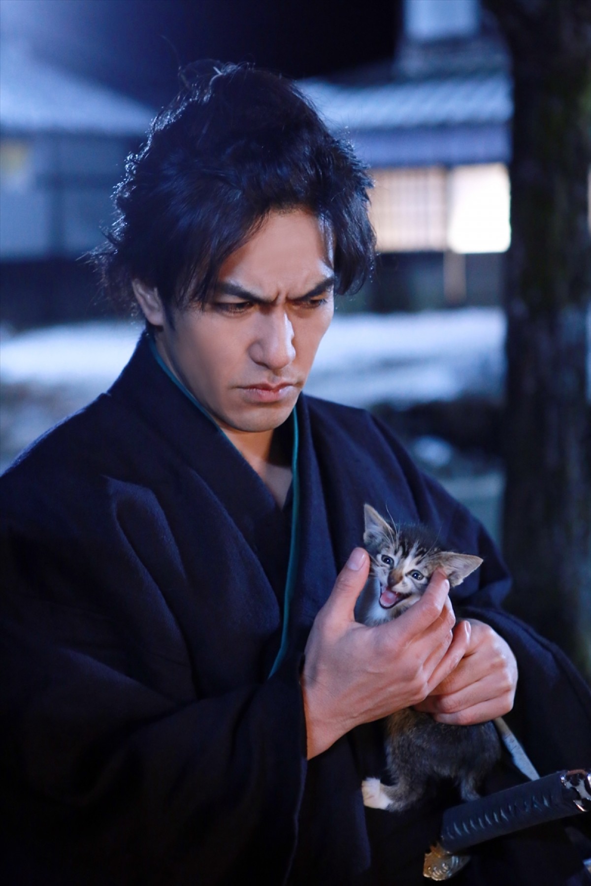 『猫侍 SEASON 2』フォト特集！ ネコ好き悶絶必至の写真満載