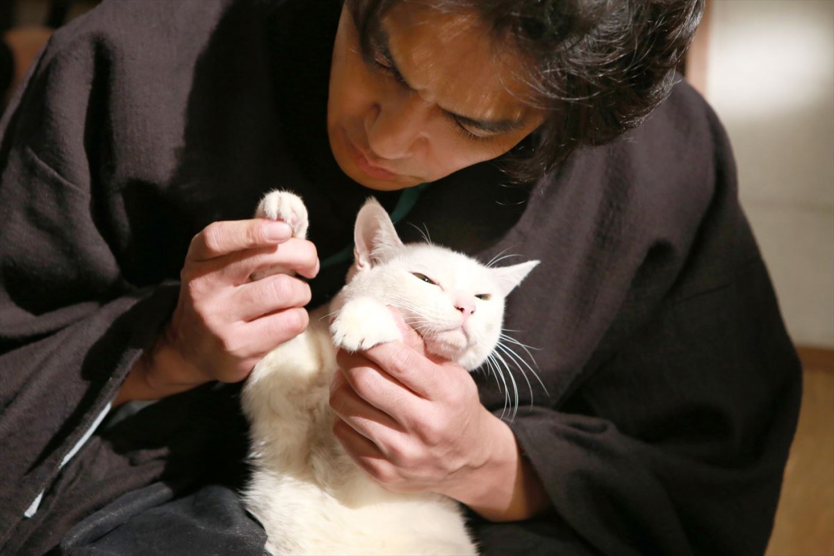 猫侍 北村一輝 白猫あなごにデレデレ 頭頂部の匂いを嗅いで意思疎通 15年3月27日 エンタメ ニュース クランクイン