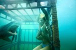 『午後のロードショー』昨年7月放送　木曜日は“サメ”!!『シャーク・ナイト』