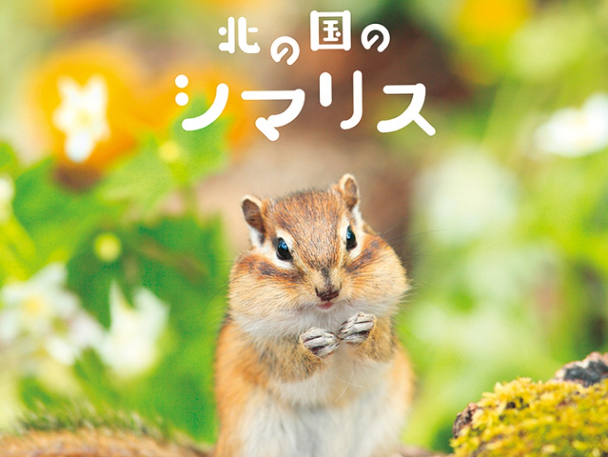動物