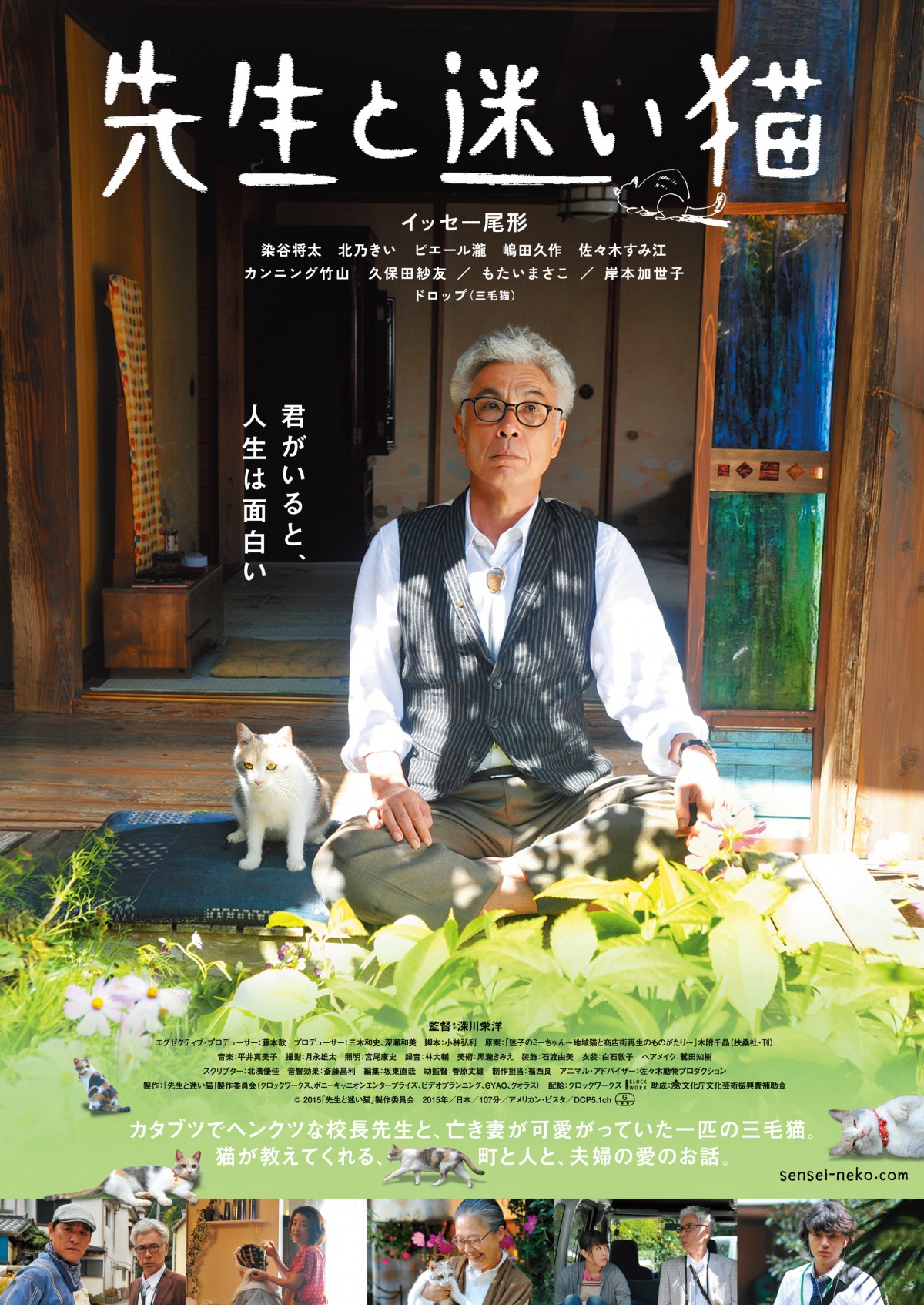 『あまちゃん』の三毛猫ドロップ&イッセー尾形主演の映画『先生と迷い猫』公開決定
