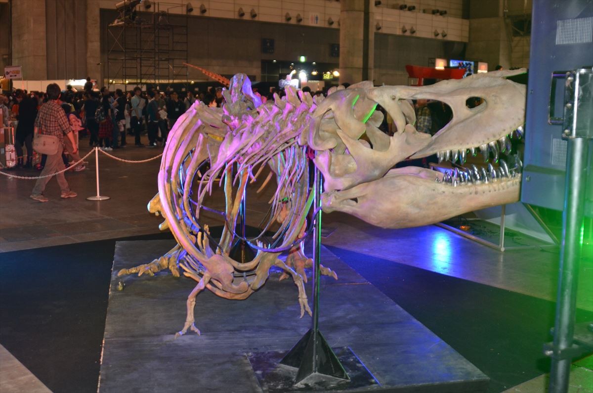 ＜ニコニコ超会議2015＞フォト特集！大相撲、コンパニオン、痛車、妖怪ウォッチ…