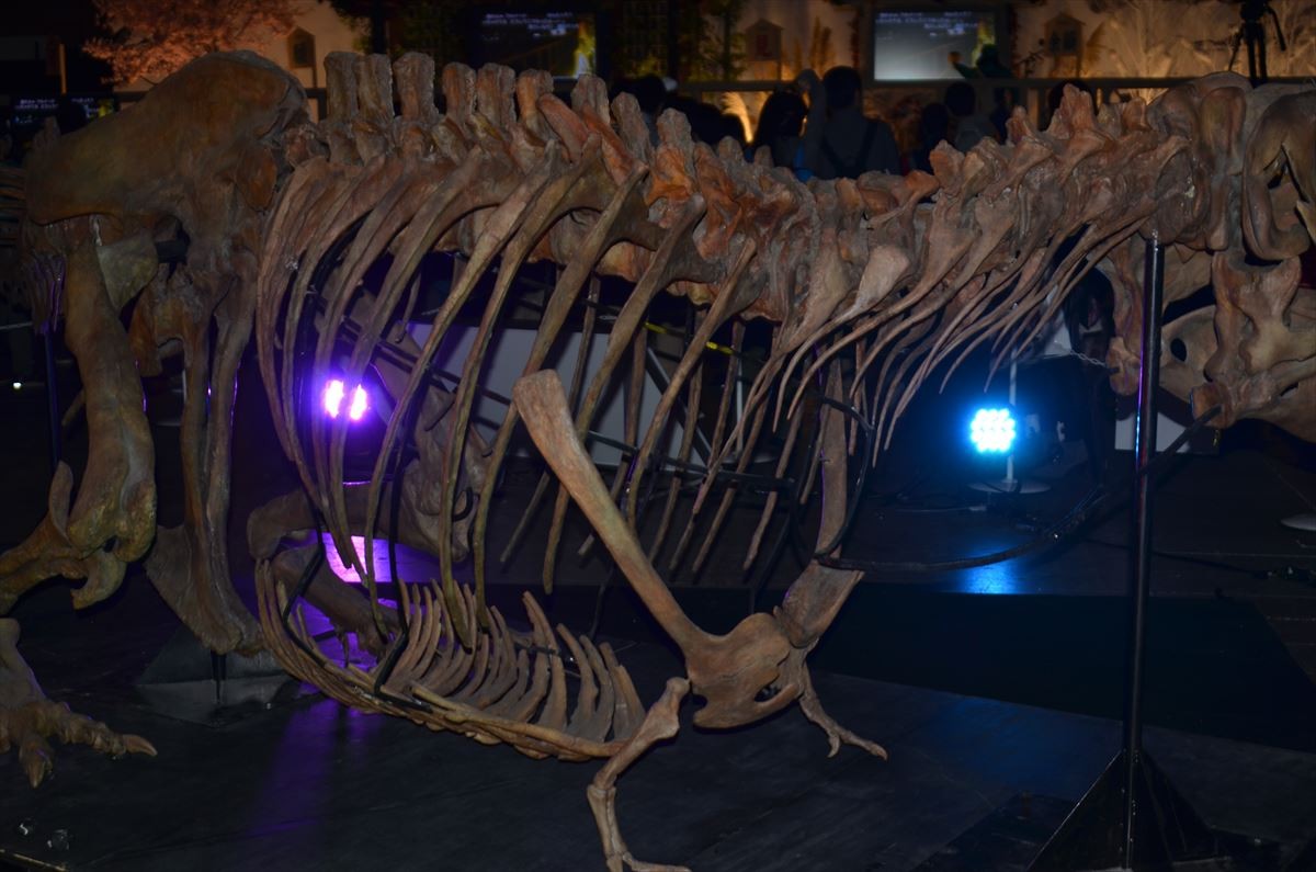 ＜ニコニコ超会議2015＞フォト特集！大相撲、コンパニオン、痛車、妖怪ウォッチ…