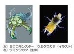 知られざる生物たちをキャラクターとして紹介！