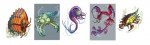 知られざる生物たちをイラストで紹介！