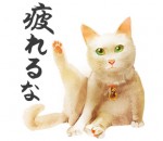 『猫侍』LINEスタンプ