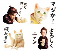 『猫侍』LINEスタンプ発売中