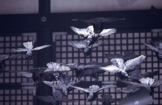 写真）『帝都物語』＆『帝都大戦』初ブルーレイ化 樋口真嗣監督が