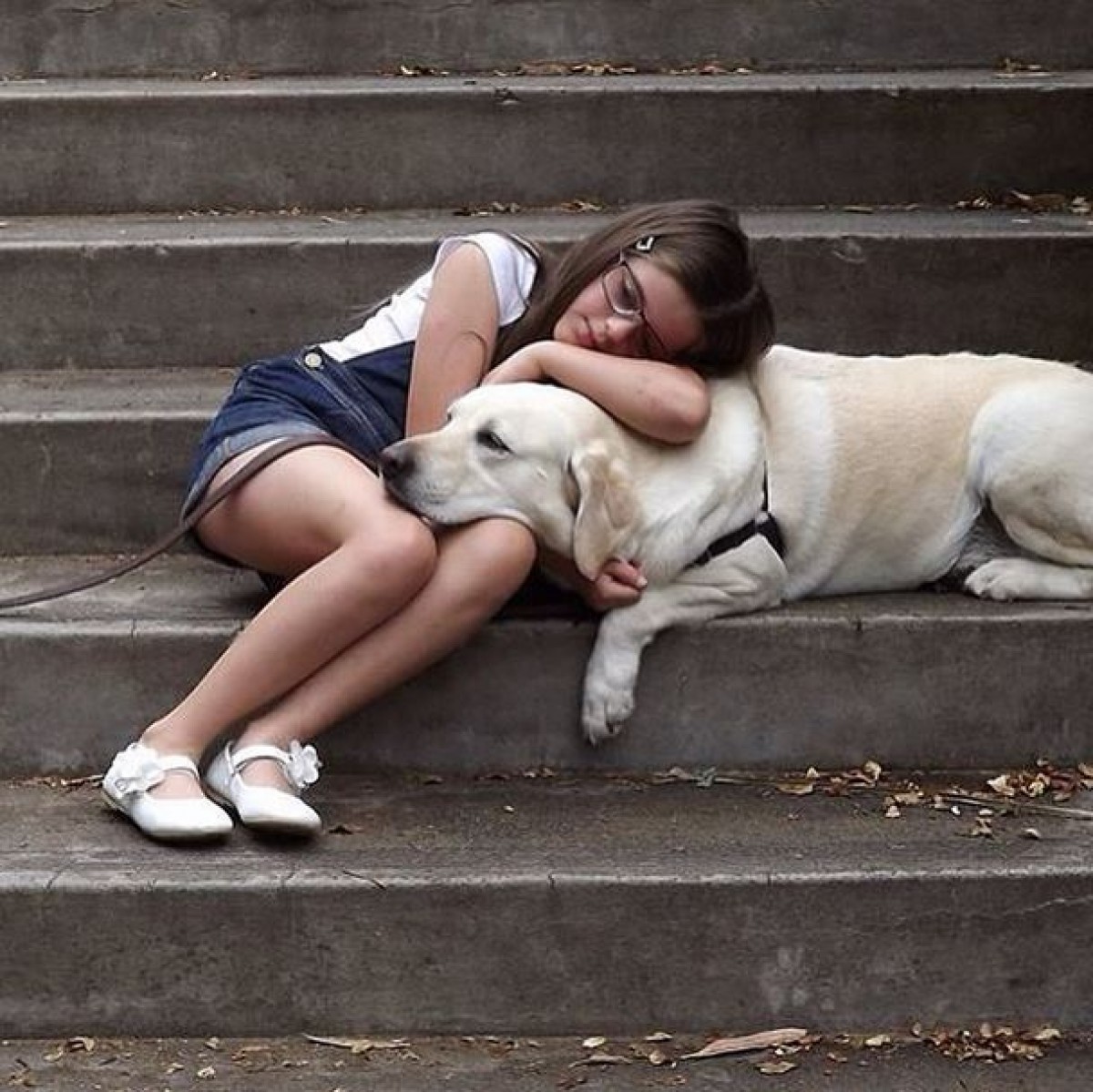無邪気なワンちゃんに癒される！インスタのハッシュタグ＃therapydogが人気　