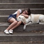 ＃therapydogのハッシュタグで人気のセラピー犬