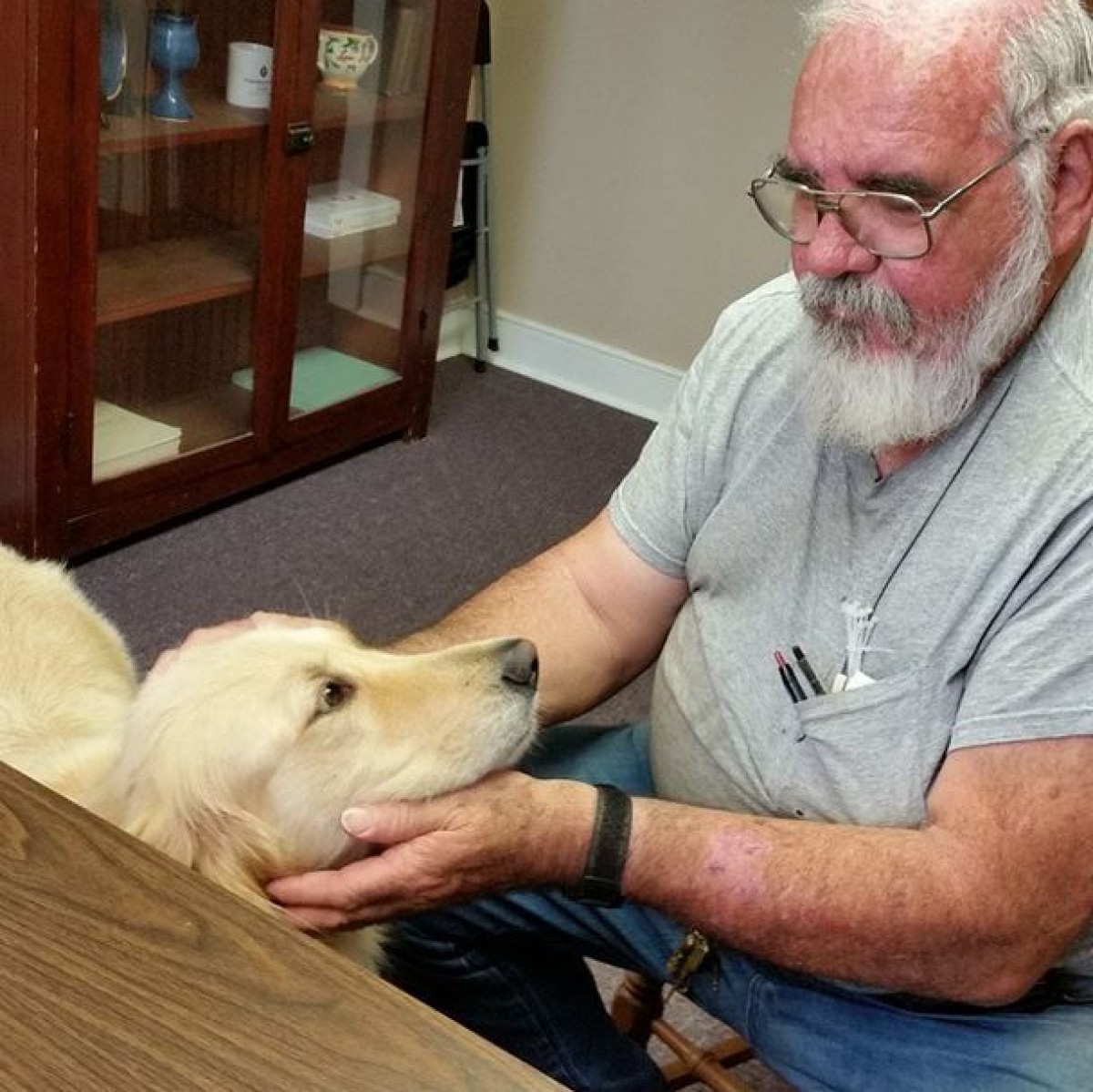 無邪気なワンちゃんに癒される！インスタのハッシュタグ＃therapydogが人気　