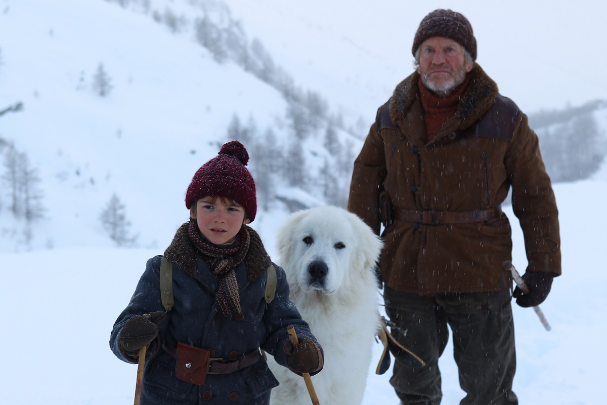 少年と犬との絆を描く『名犬ジョリィ』実写映画化　仏で300万人動員の大ヒット作公開