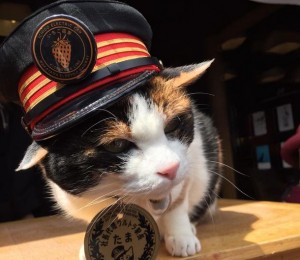 「たま駅長」訃報に海外からも哀悼の声「どれだけの人が恋しがることか…」