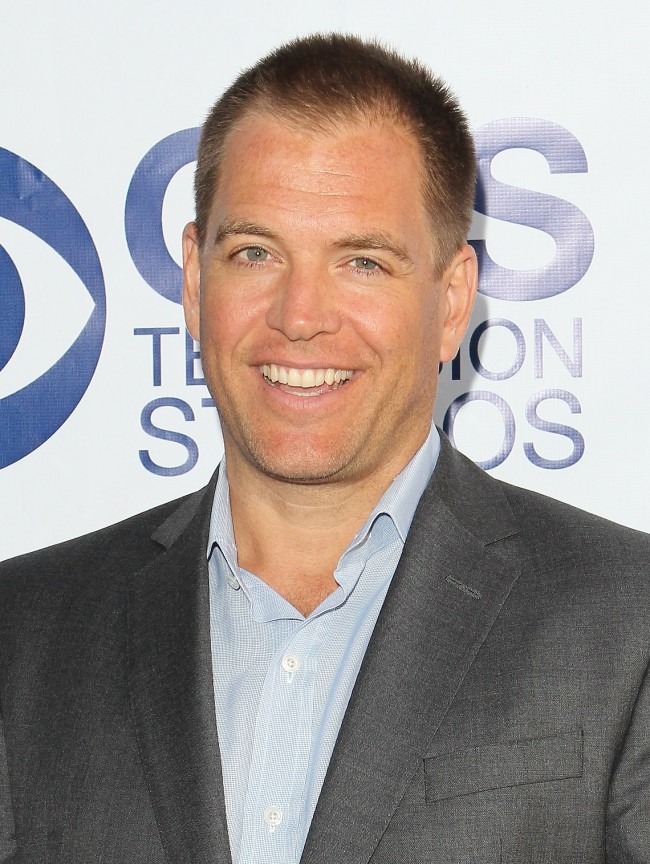 Michael Weatherly、マイケル・ウェザリー