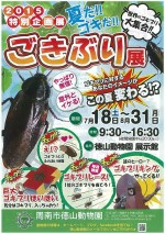 「夏だ！ゴキだ!!　ごきぶり展」山口県周南市・徳山動物園にて8月21日まで開催