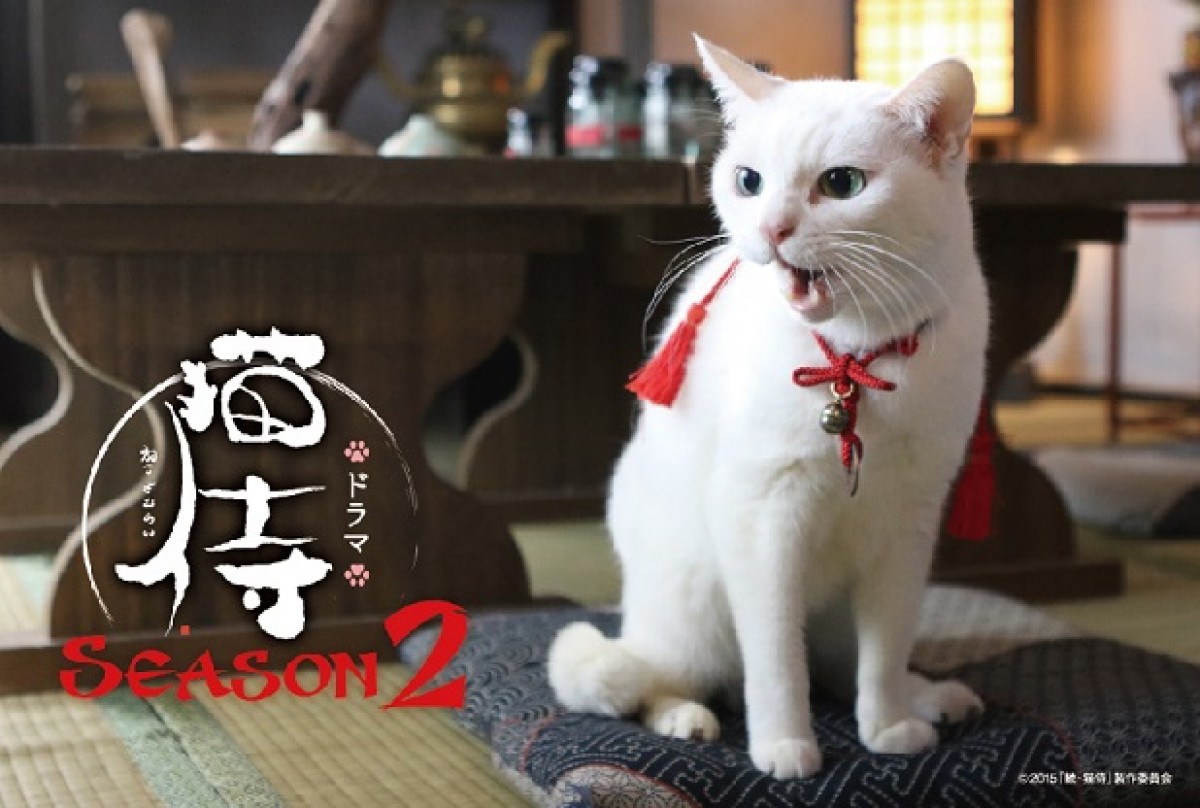 『猫侍 SEASON2』萌える豪華特典付きDVD発売！主演・北村一輝、見どころ語る