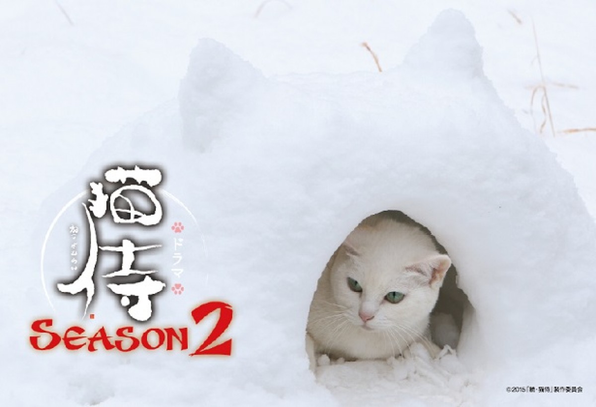 『猫侍 SEASON2』萌える豪華特典付きDVD発売！主演・北村一輝、見どころ語る