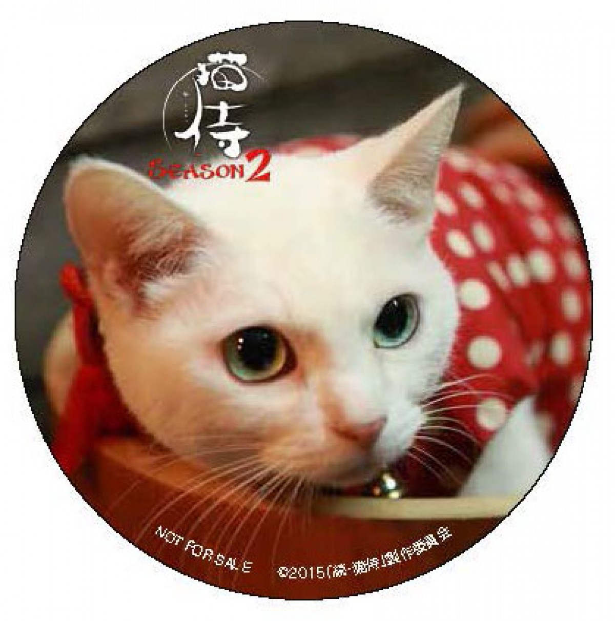 『猫侍 SEASON2』萌える豪華特典付きDVD発売！主演・北村一輝、見どころ語る