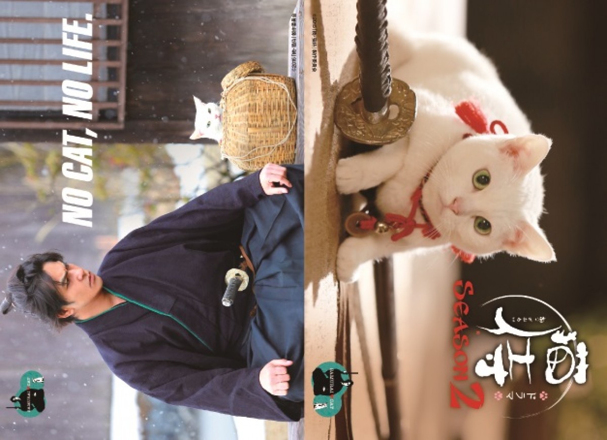 『猫侍 SEASON2』萌える豪華特典付きDVD発売！主演・北村一輝、見どころ語る