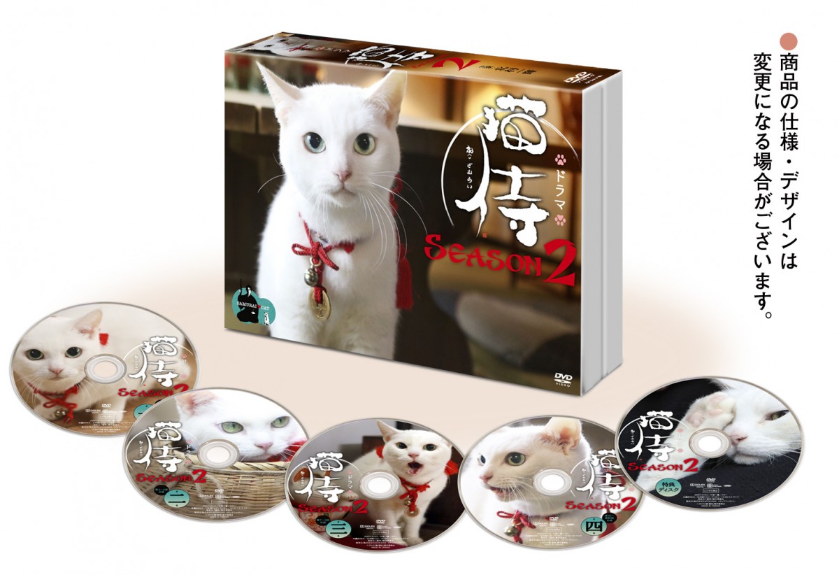『猫侍 SEASON2』DVDボックス8月5日発売