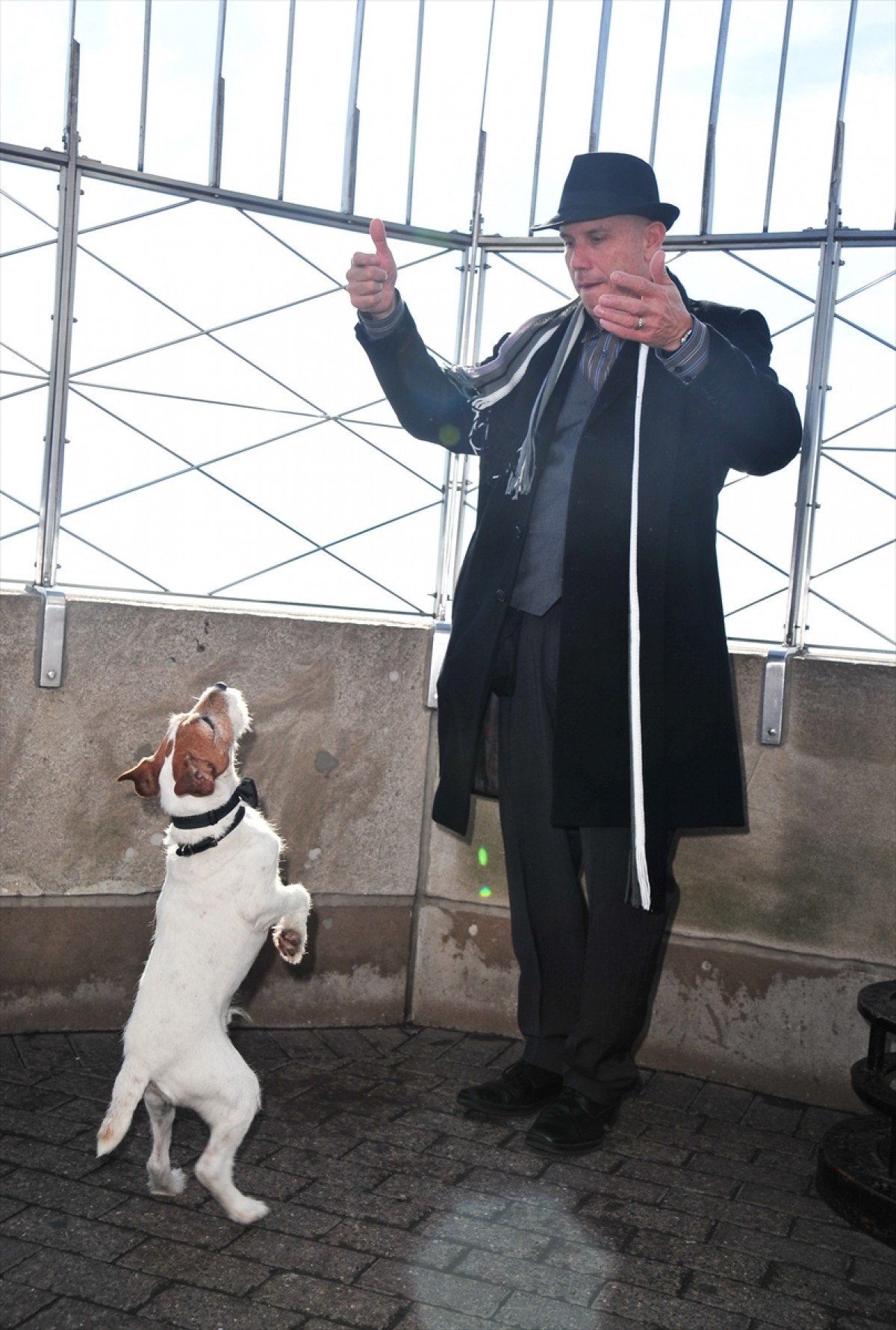 映画『アーティスト』の名犬アギー、天国へ  