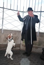 映画『アーティスト』の名犬アギー