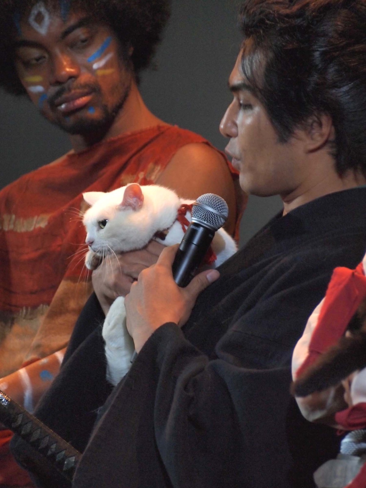 『猫侍』北村一輝、LiLiCoに壁ドン　人気猫・あなごがヤキモチ