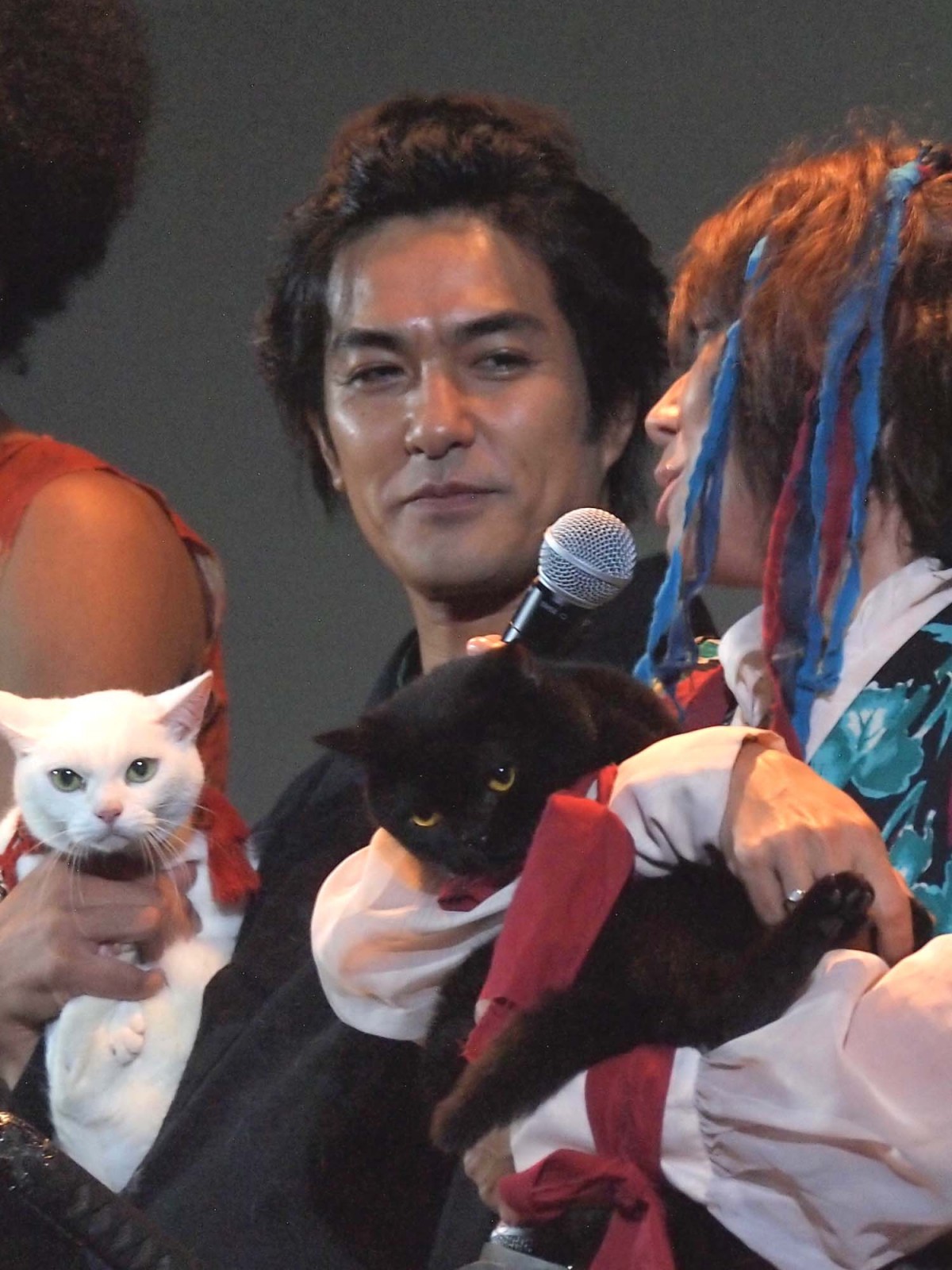 『猫侍』北村一輝、LiLiCoに壁ドン　人気猫・あなごがヤキモチ