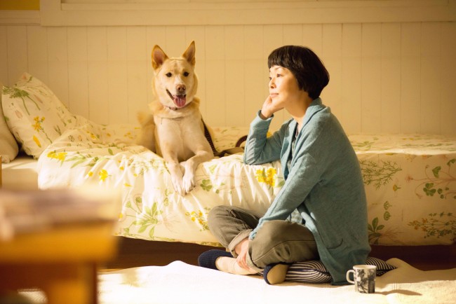 『犬に名前をつける日』　10月31日よりシネスイッチ銀座ほか全国順次公開