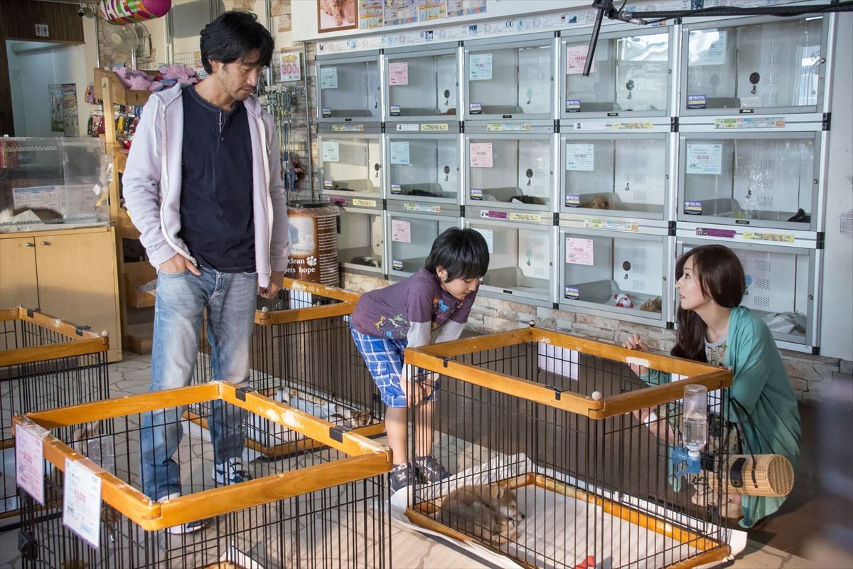竹野内豊、『at Home』共演の坂口健太郎・黒島結菜を絶賛「将来が楽しみ」