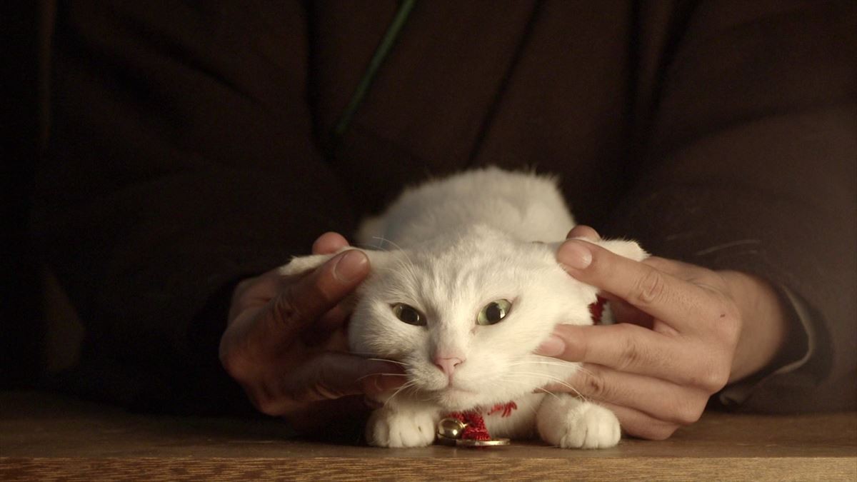 『猫侍 SEASON2』主題歌、初のCD化！久太郎＆玉之丞登場のロックなPV解禁