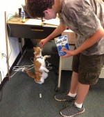 学校が大好きなねこバッバ