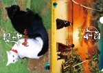 『猫侍 南の島へ行く』WEB限定第2弾前売鑑賞券特典のクリアファイル