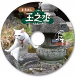 『猫侍 南の島へ行く』　入場者プレゼント「いやし猫DVD まる出し玉之丞」