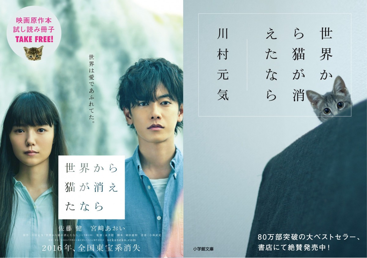 佐藤健＆宮崎あおい『世界から猫が消えたなら』　“世界遺産”背景のビジュアル解禁
