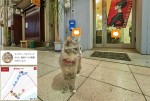 広島県尾道市・キャットストリートビュー