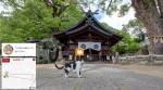 広島県尾道市・キャットストリートビュー