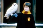 『ハリー・ポッター』、ポッター家の歴史が明らかに　J・K・ローリングが追筆