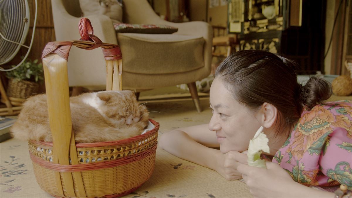 「にゃんこ映画祭」吉祥寺で初開催　猫侍、グーグー…人気作品が猫カフェ他にて上映
