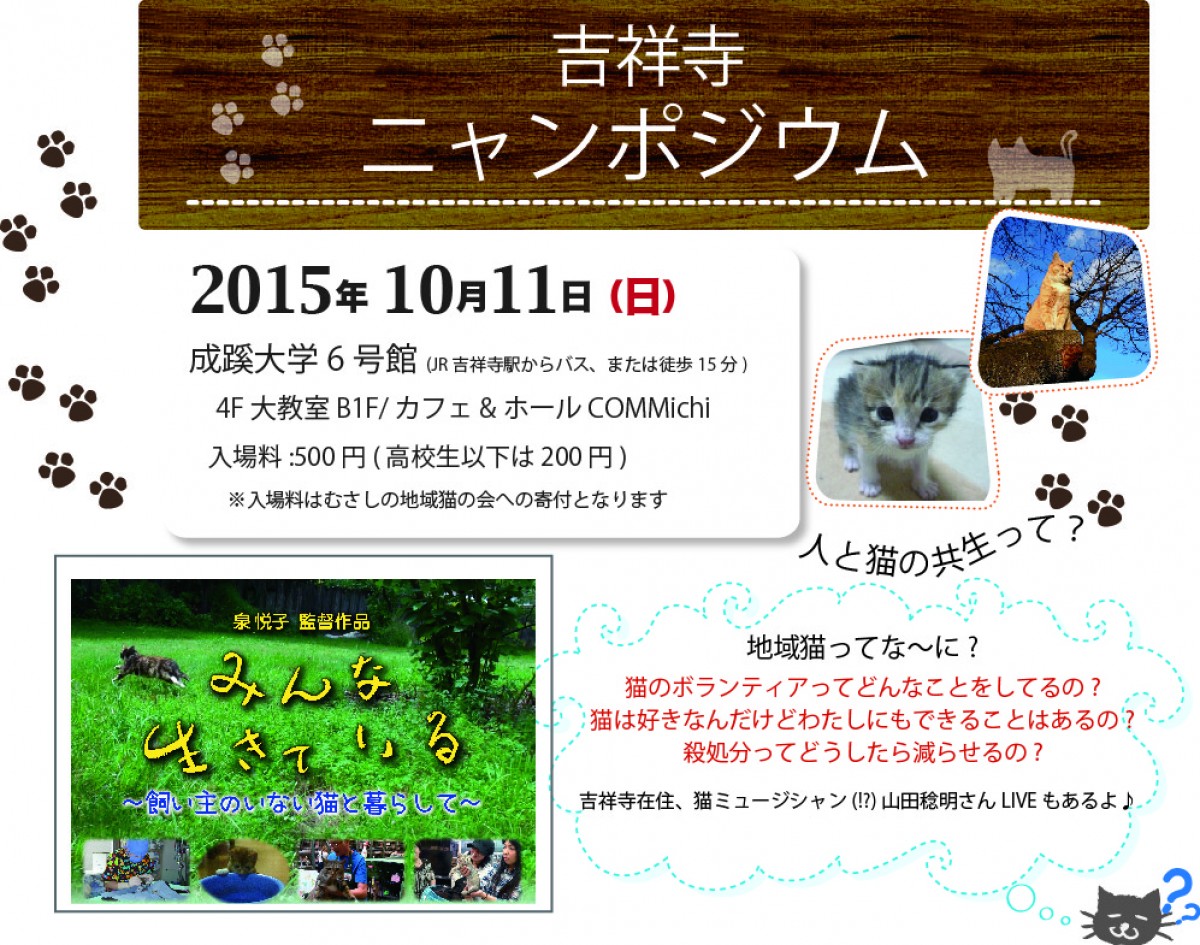 「にゃんこ映画祭」吉祥寺で初開催　猫侍、グーグー…人気作品が猫カフェ他にて上映