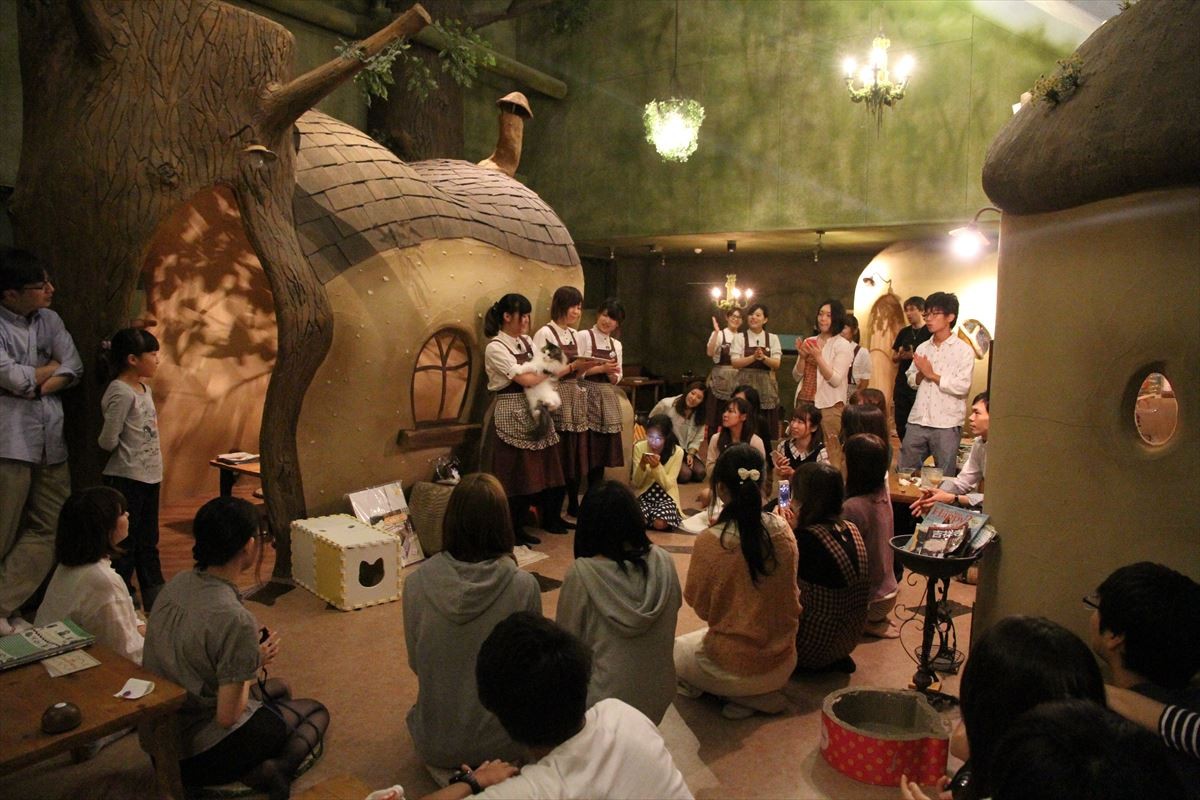 「にゃんこ映画祭」吉祥寺で初開催　猫侍、グーグー…人気作品が猫カフェ他にて上映