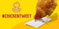 ニワトリによるツイッターが話題
