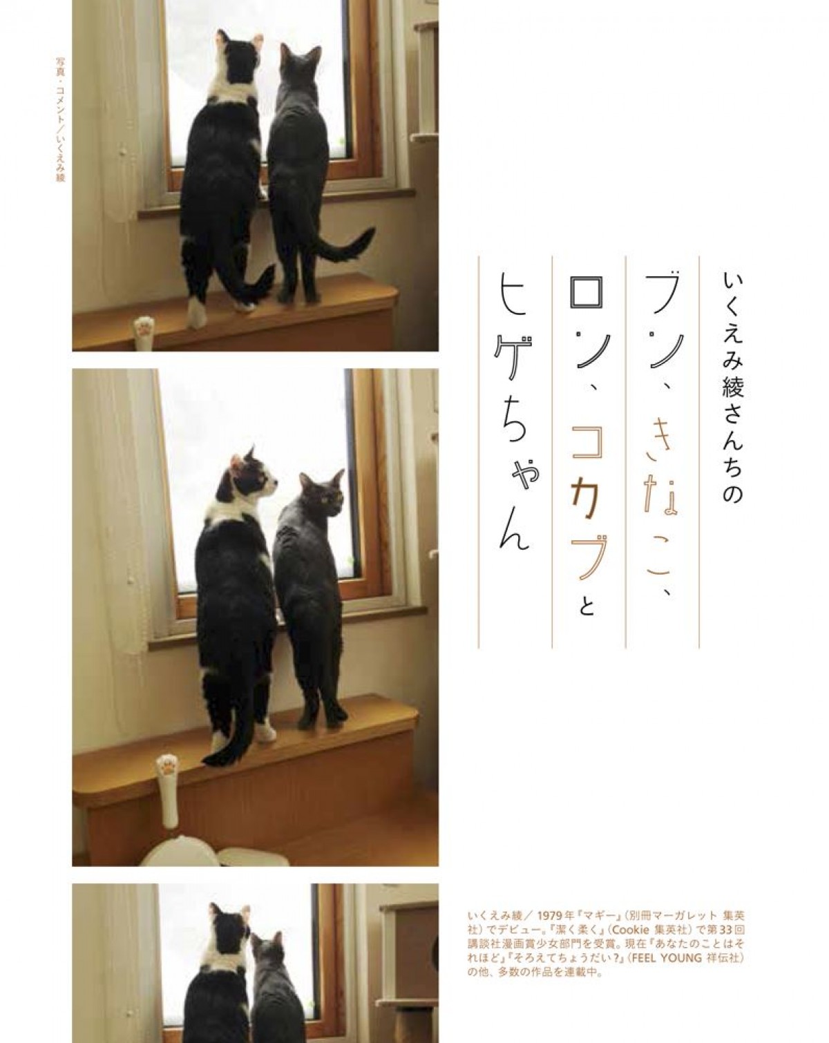 いくえみ綾・二ノ宮知子ら漫画家が “うちの猫” を紹介　写真集『漫画家の猫』