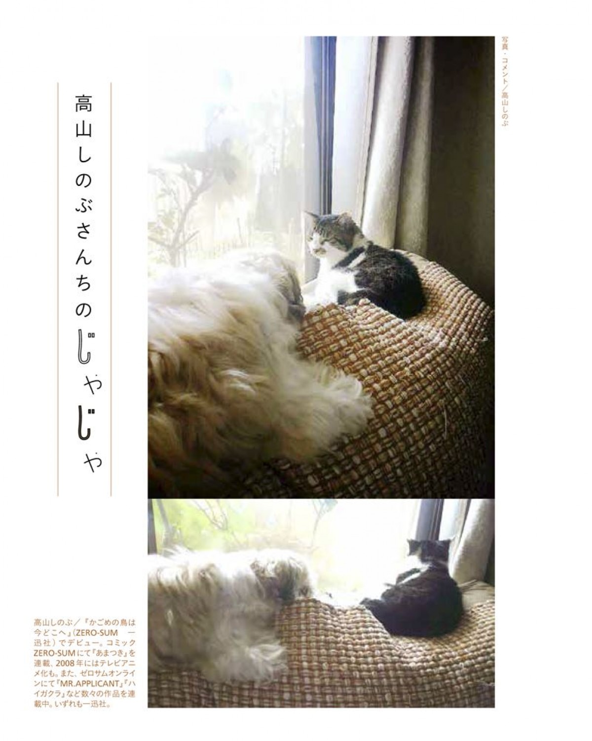 いくえみ綾・二ノ宮知子ら漫画家が “うちの猫” を紹介　写真集『漫画家の猫』