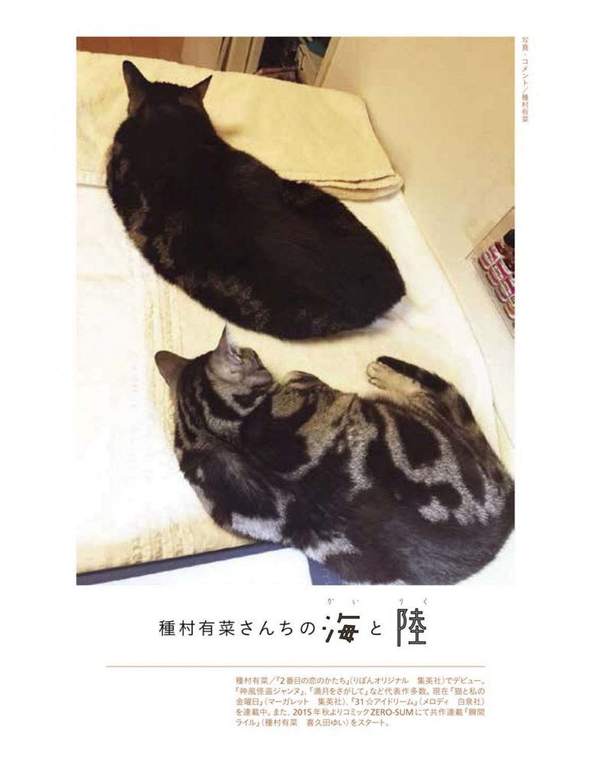 いくえみ綾・二ノ宮知子ら漫画家が “うちの猫” を紹介　写真集『漫画家の猫』