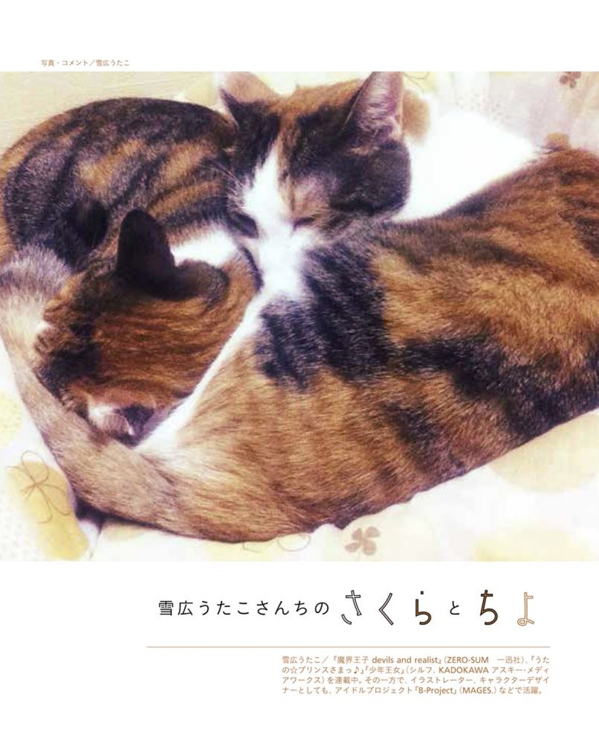 いくえみ綾・二ノ宮知子ら漫画家が “うちの猫” を紹介　写真集『漫画家の猫』